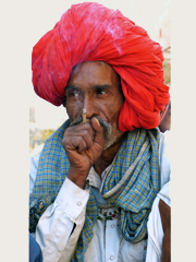 Rajasthani old man smoking biri