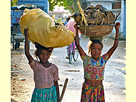 Two Rajasthani girls carrying loads of dungcakes